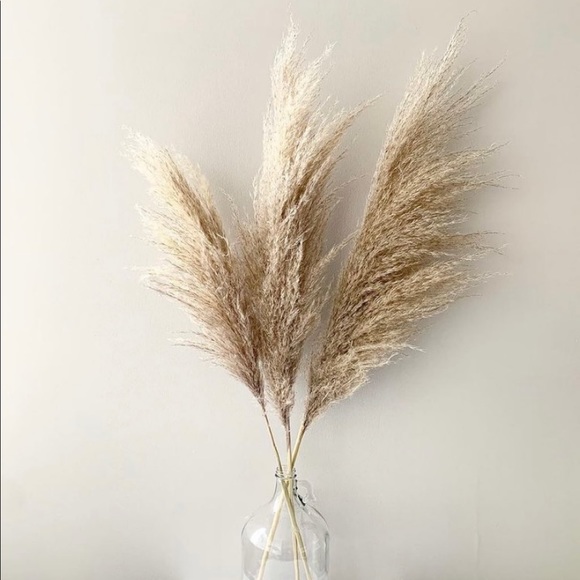 Meet your Posher, Karina - Picture 1 of 1